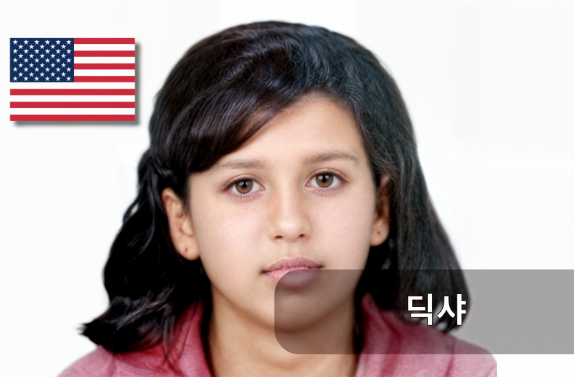 02영어-딕샤